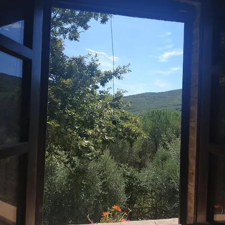 La Provenca *