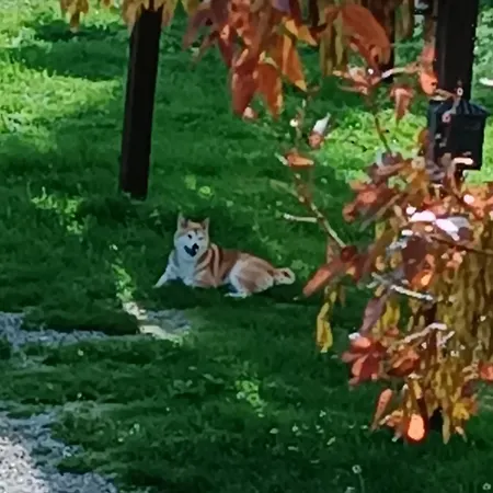 Séjour à la ferme La Provenca *