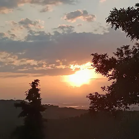 La Provenca *