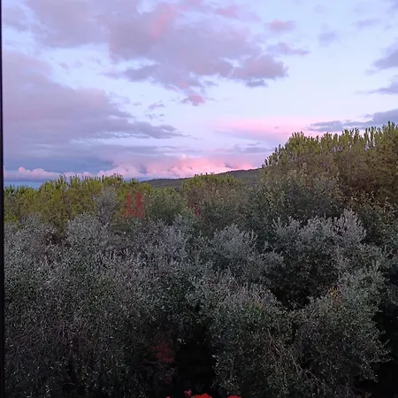 La Provenca * Chianciano Terme
