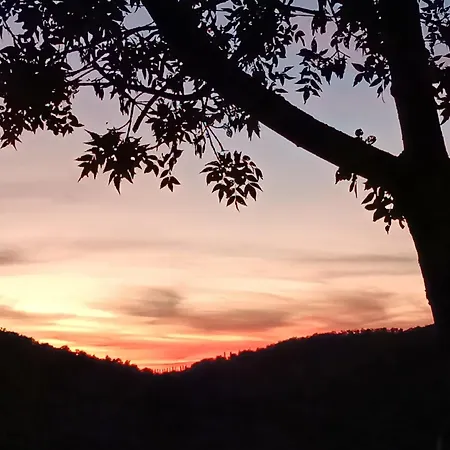 La Provenca Chianciano Terme