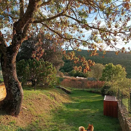 Çiftlik konaklama La Provenca Chianciano Terme