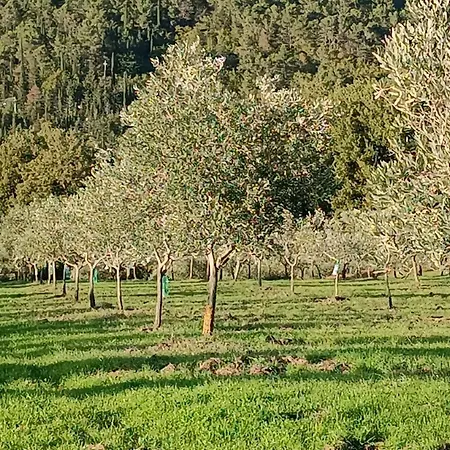 La Provenca * Chianciano Terme